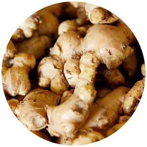 Ginger Notes Apa Itu Notes Ginger? Ciri & Wangi di Dunia Parfum – Parfumnesia
