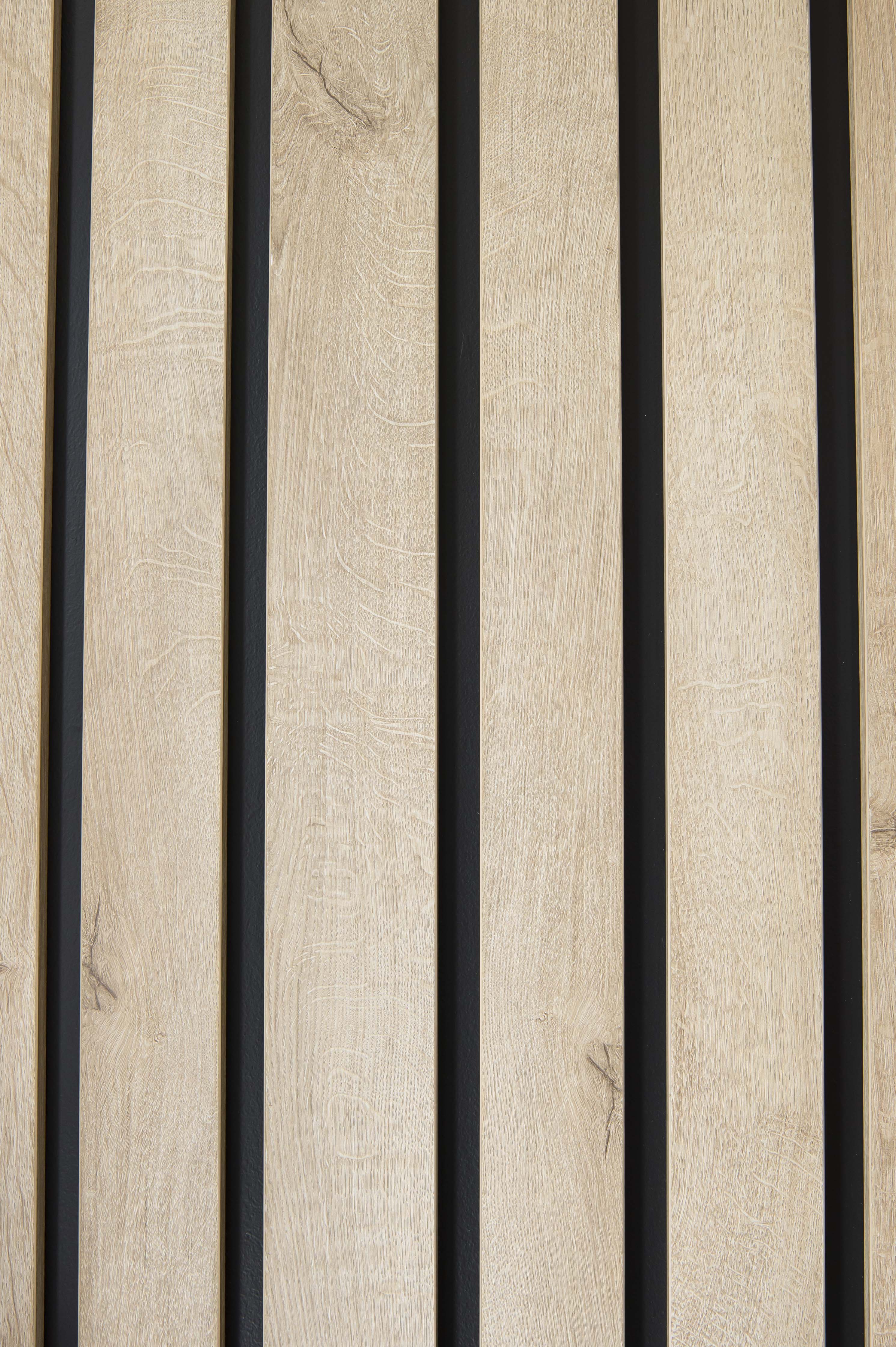 Agence de tourisme Colorbus