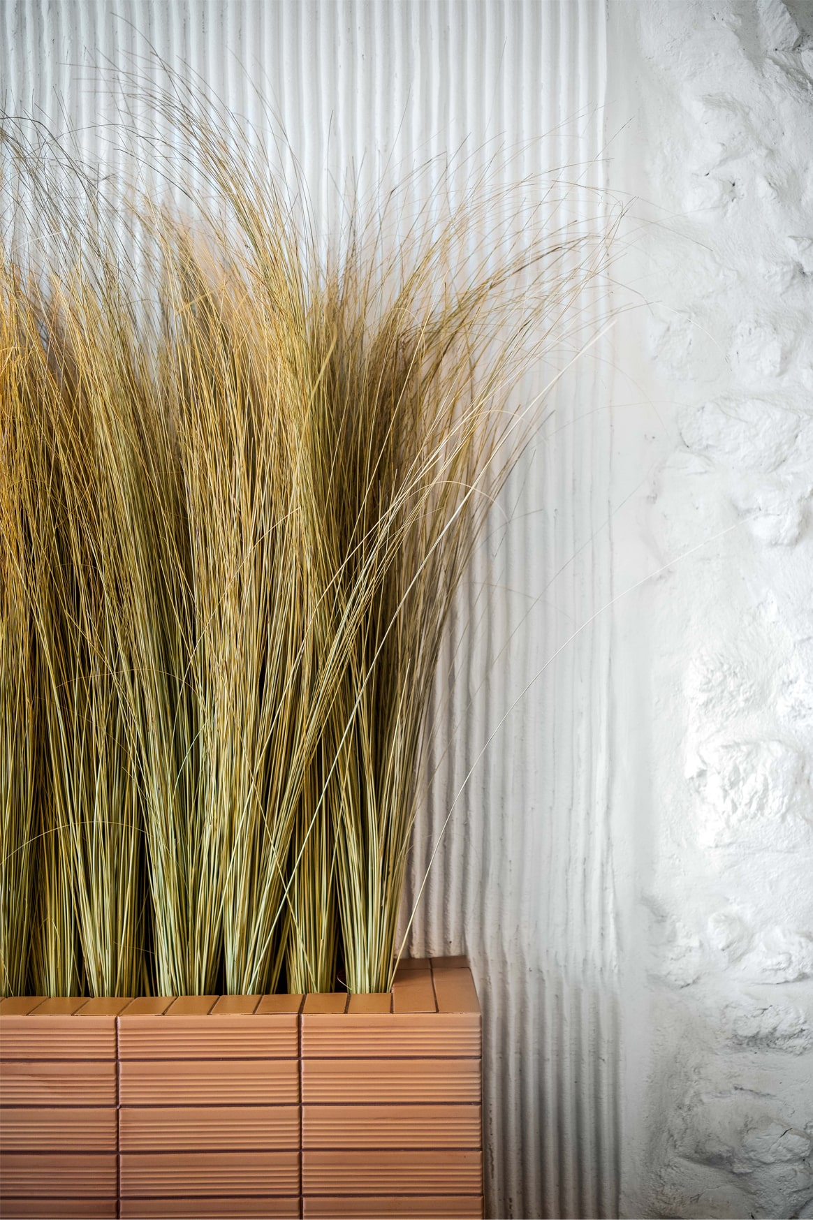 Rhinocéros - Bar à vin & Restaurant