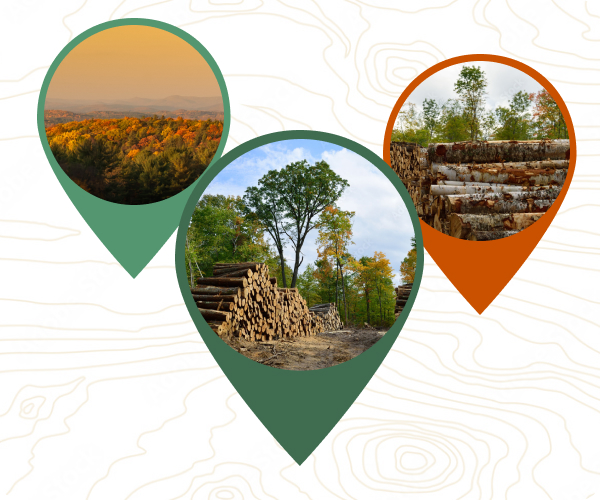 Standing Timber Inventory Management Timbersoft