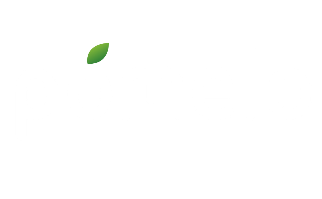 Best Employer Branding Company Pomelo Employer Branding