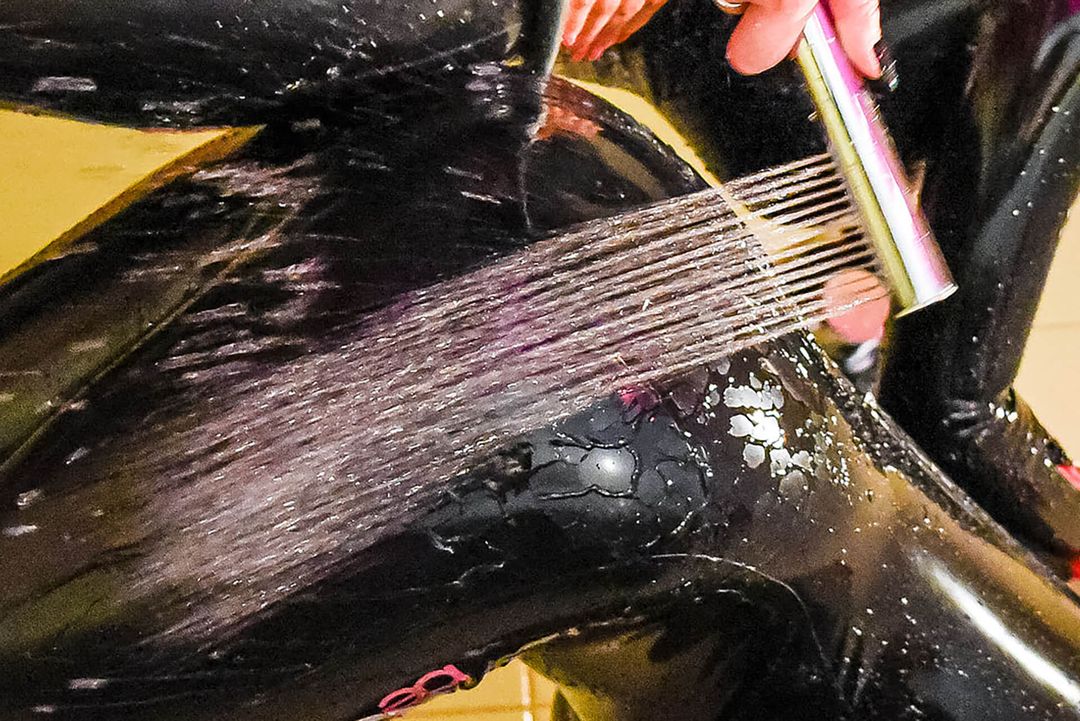 Dressing latex with oil instructions for beginners