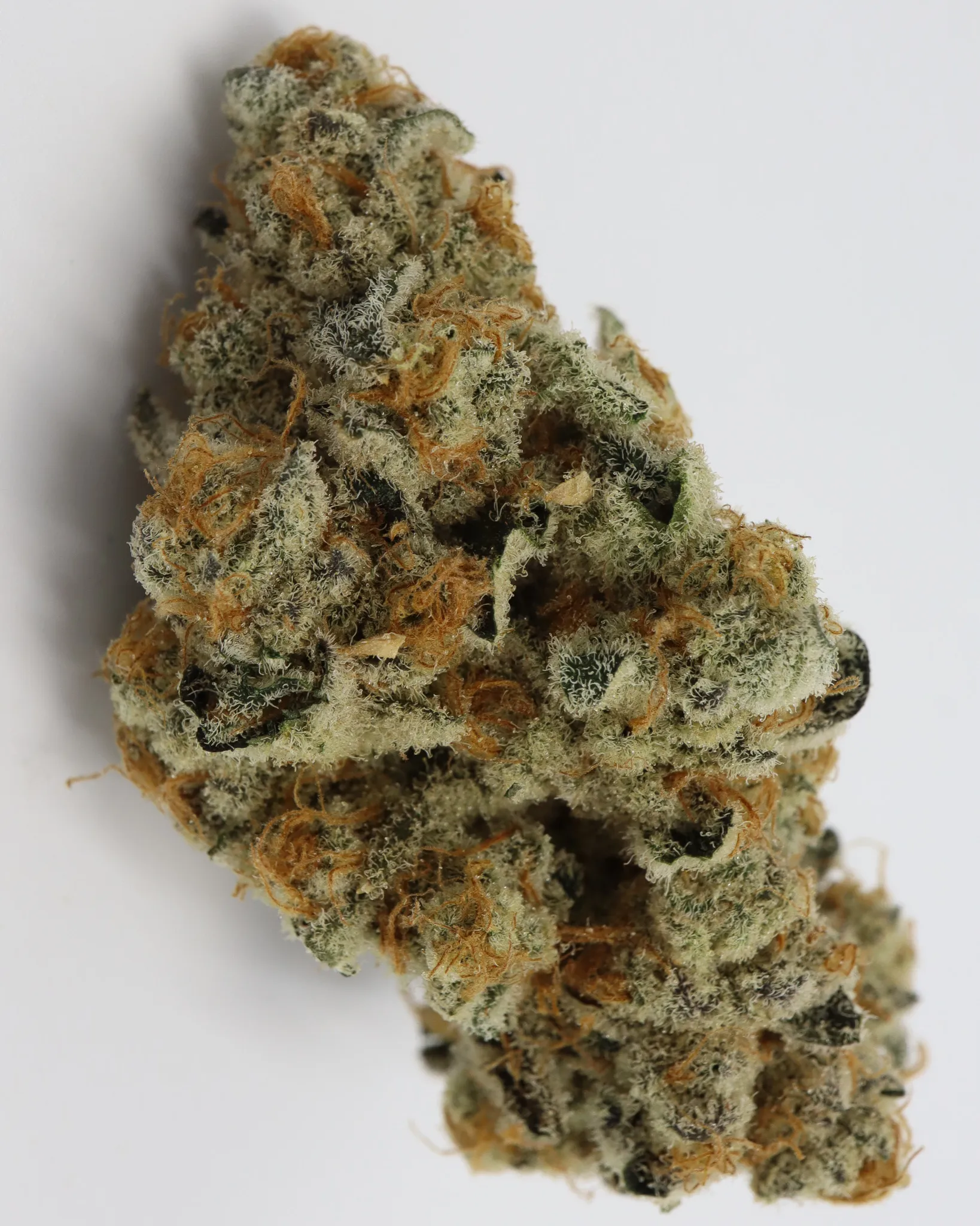 Pomelo Soda Mother Labs