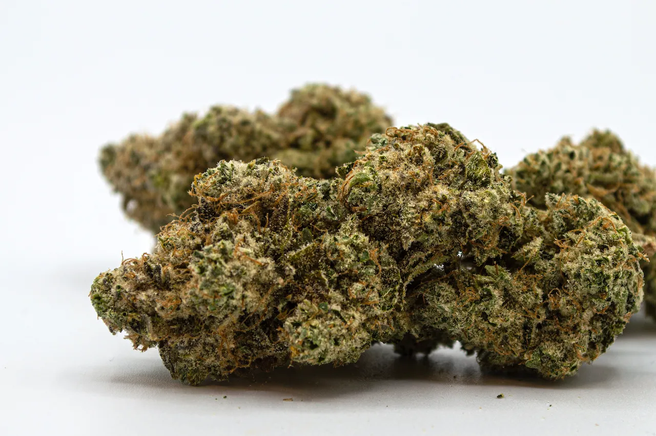 ZSplitter Mother Labs