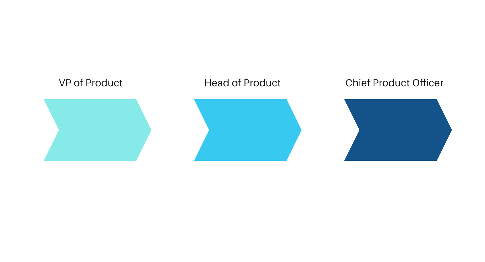 What Is the Difference Between a CPO, a Head of Product and a VP of
