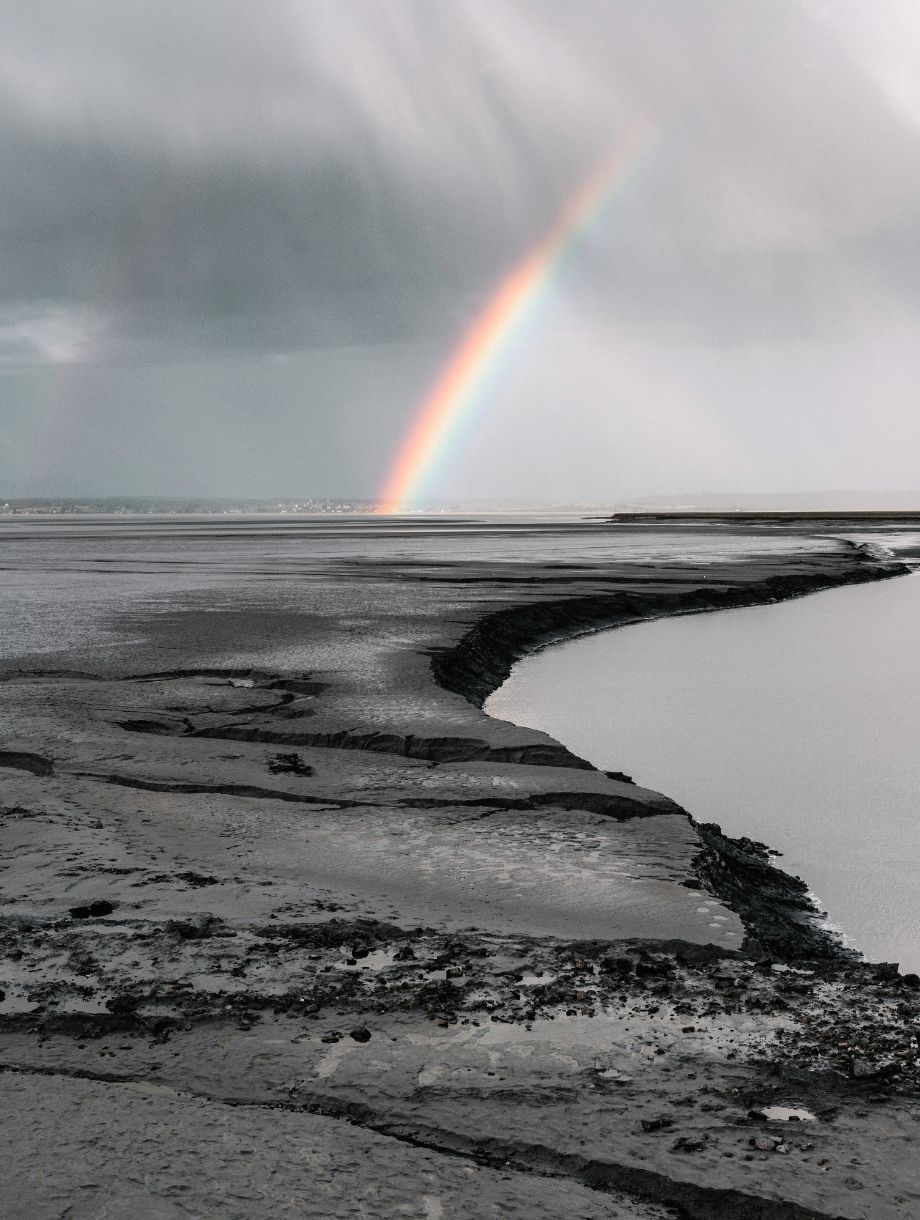 WHAT COMES AFTER A STORM