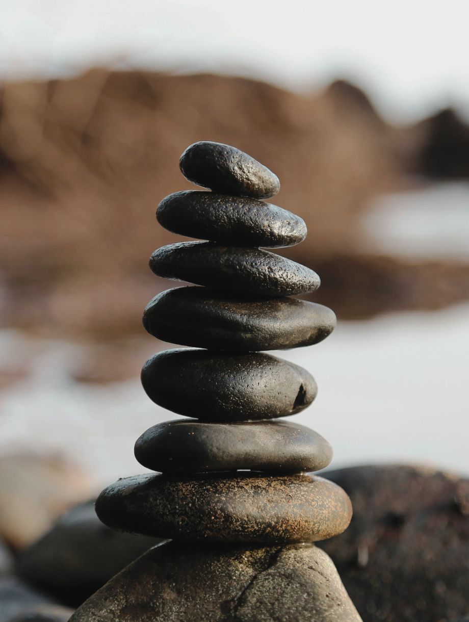 THE COMPLEX WEB OF ENTREPRENEURIAL SUCCESS