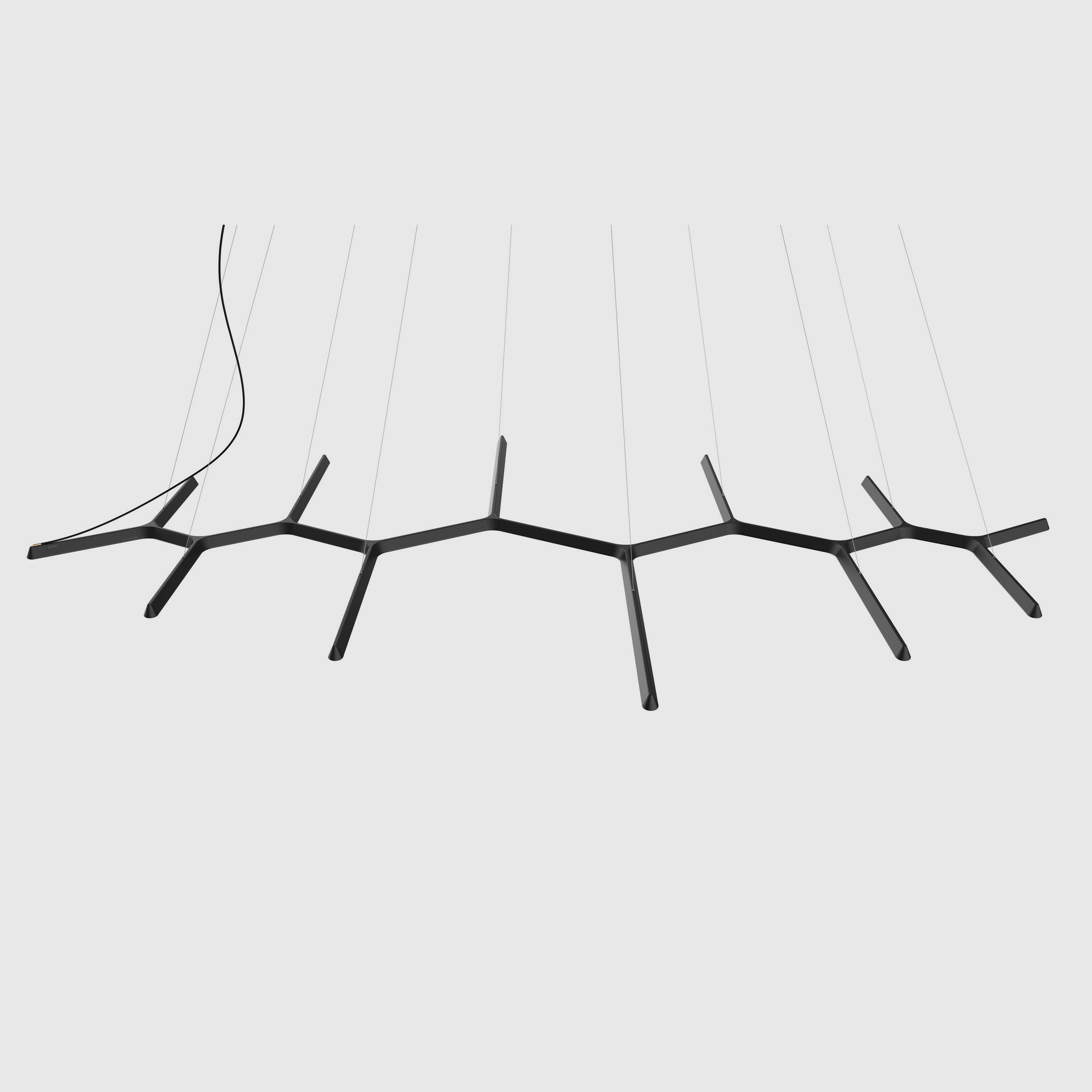 Vine
