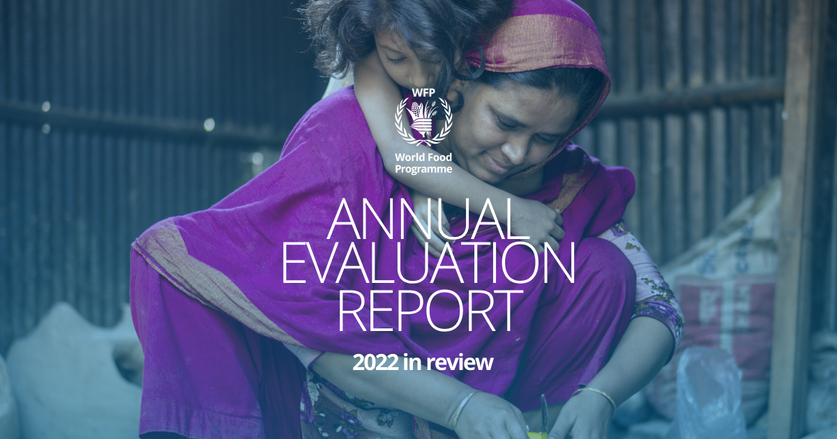 Annual evaluation report 2022
