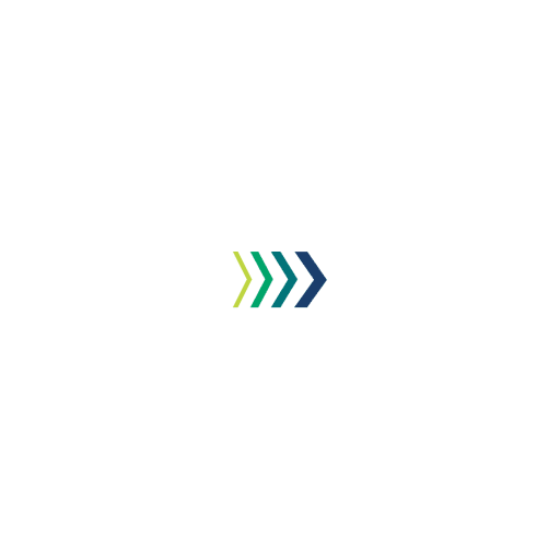 Brightinsight logo