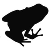 TRDATA logo