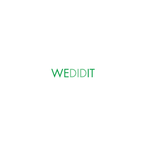 Wedidit logo