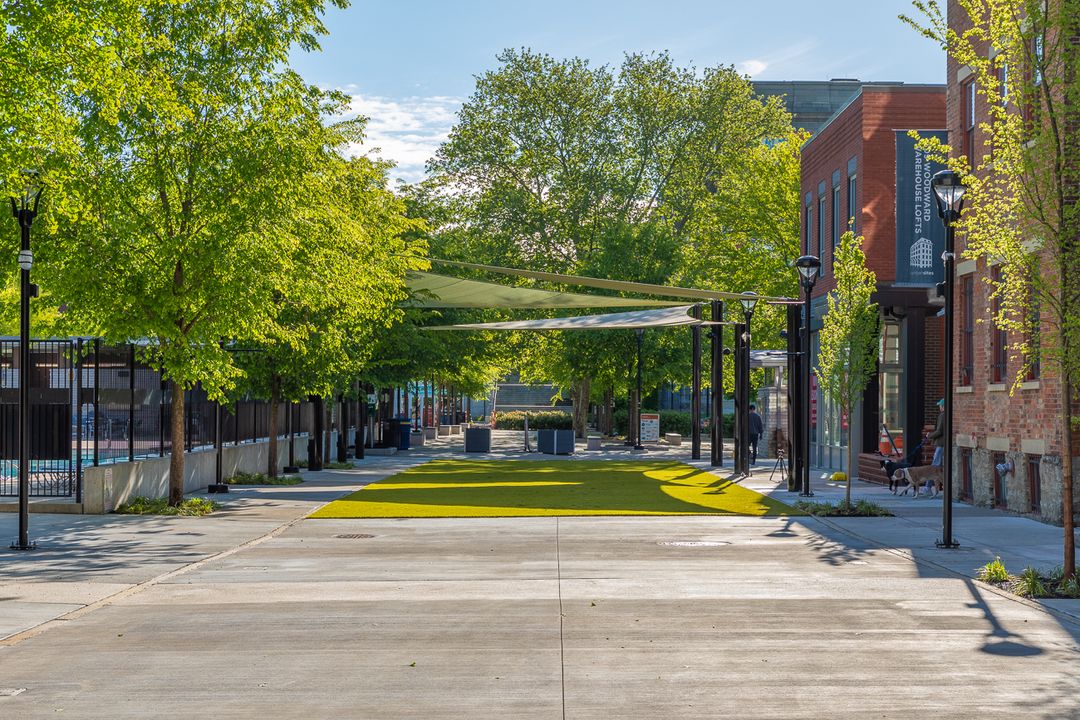 Home Triversity Construction