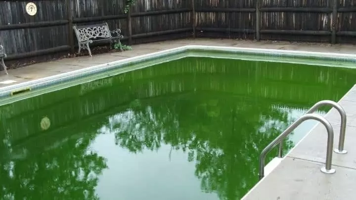 Die Anleitung für Kupfersulfat im Pool (9/2023)