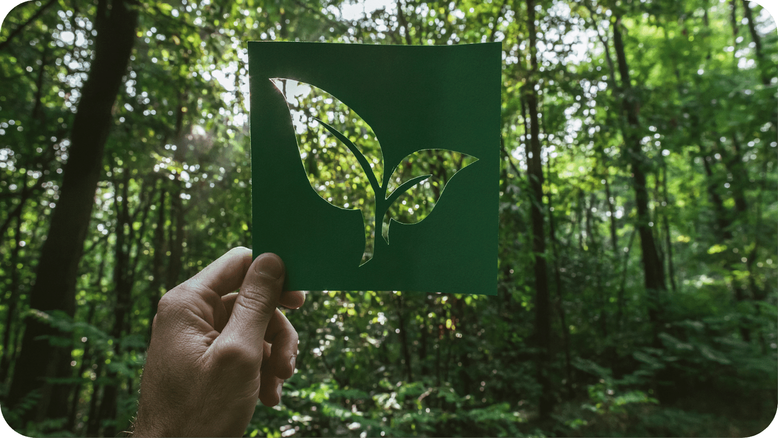 Best Webinar Software, Video Conferencing Software, Virtual Meeting Platform, and Virtual Event Platform