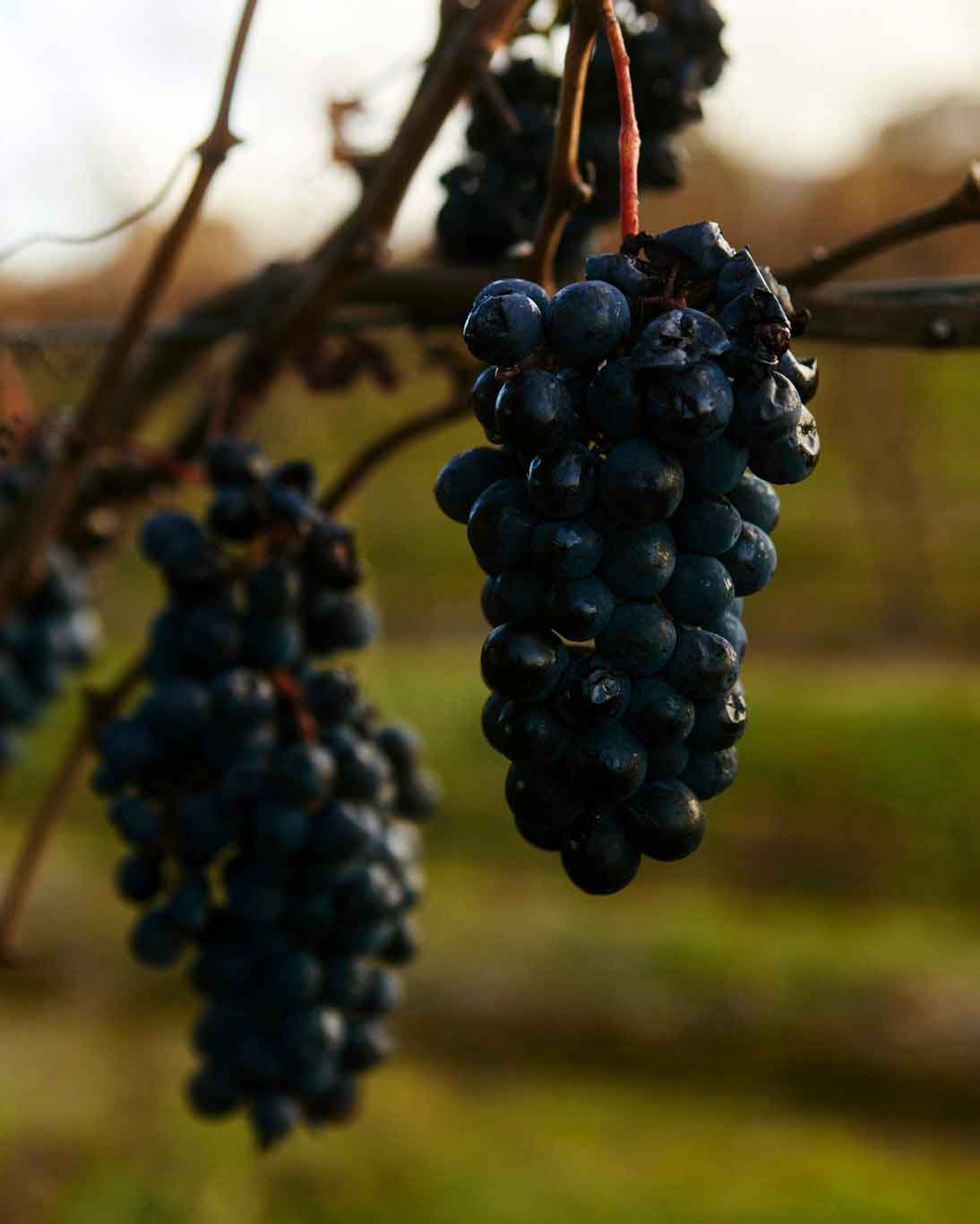 Unlocking Regional Victoria | ATG Developers