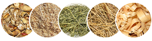Examples of organic residues that can be used for bioenergy