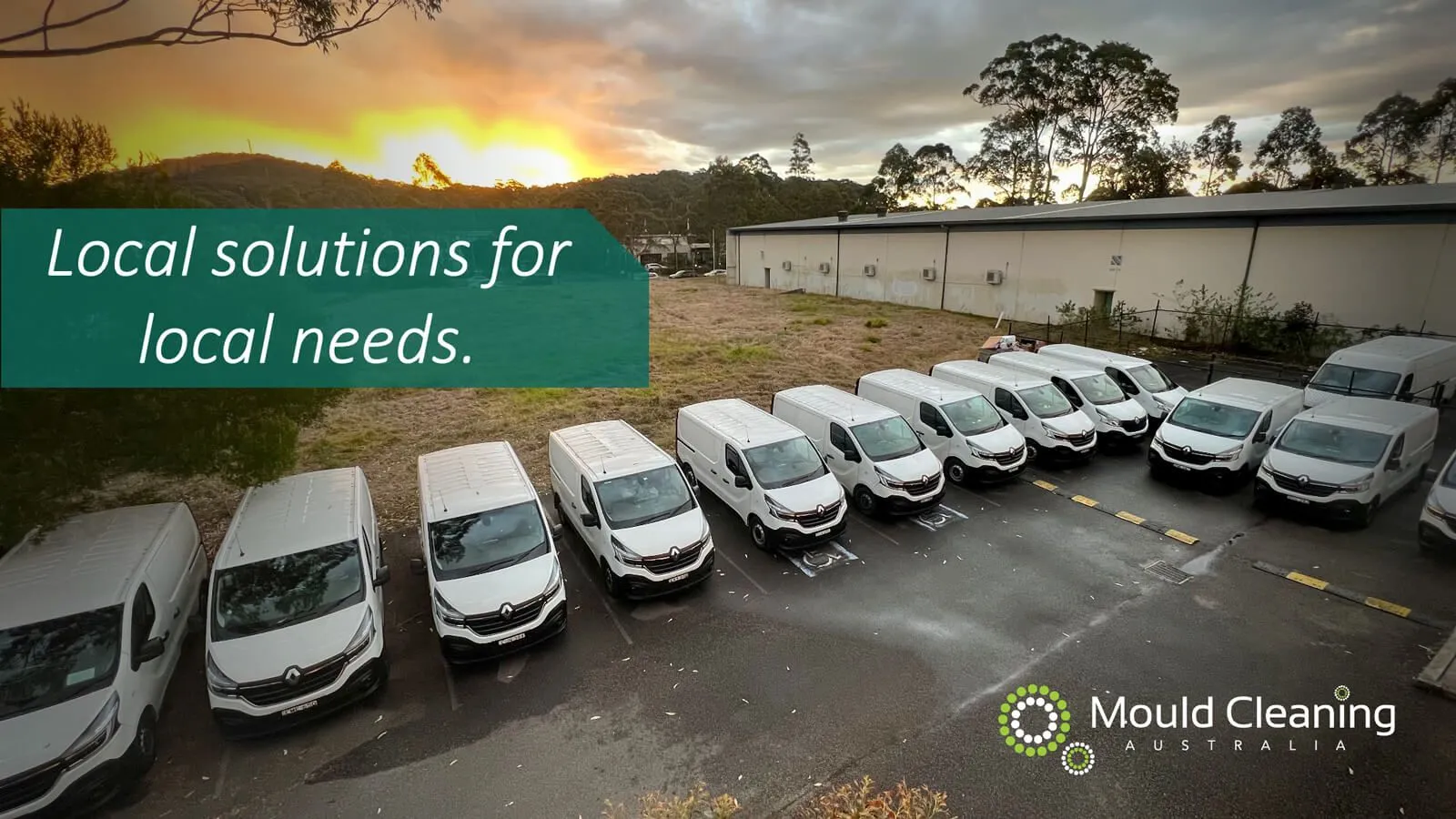 Our Mould Cleaning History Tracing Our Expertise in Effective Mould