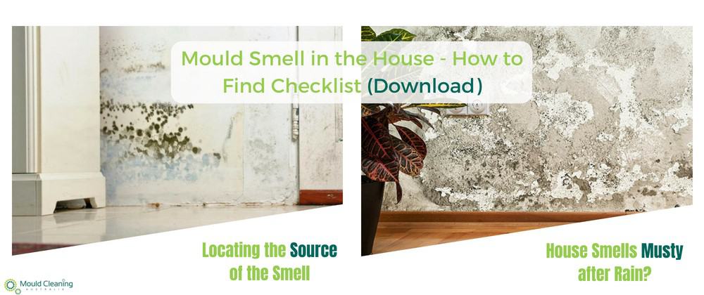 How to Eliminate Mould Smell from Homes
