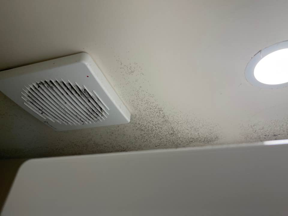 Combat mould Growth and Staining with Condenser Dryers A Comprehensive