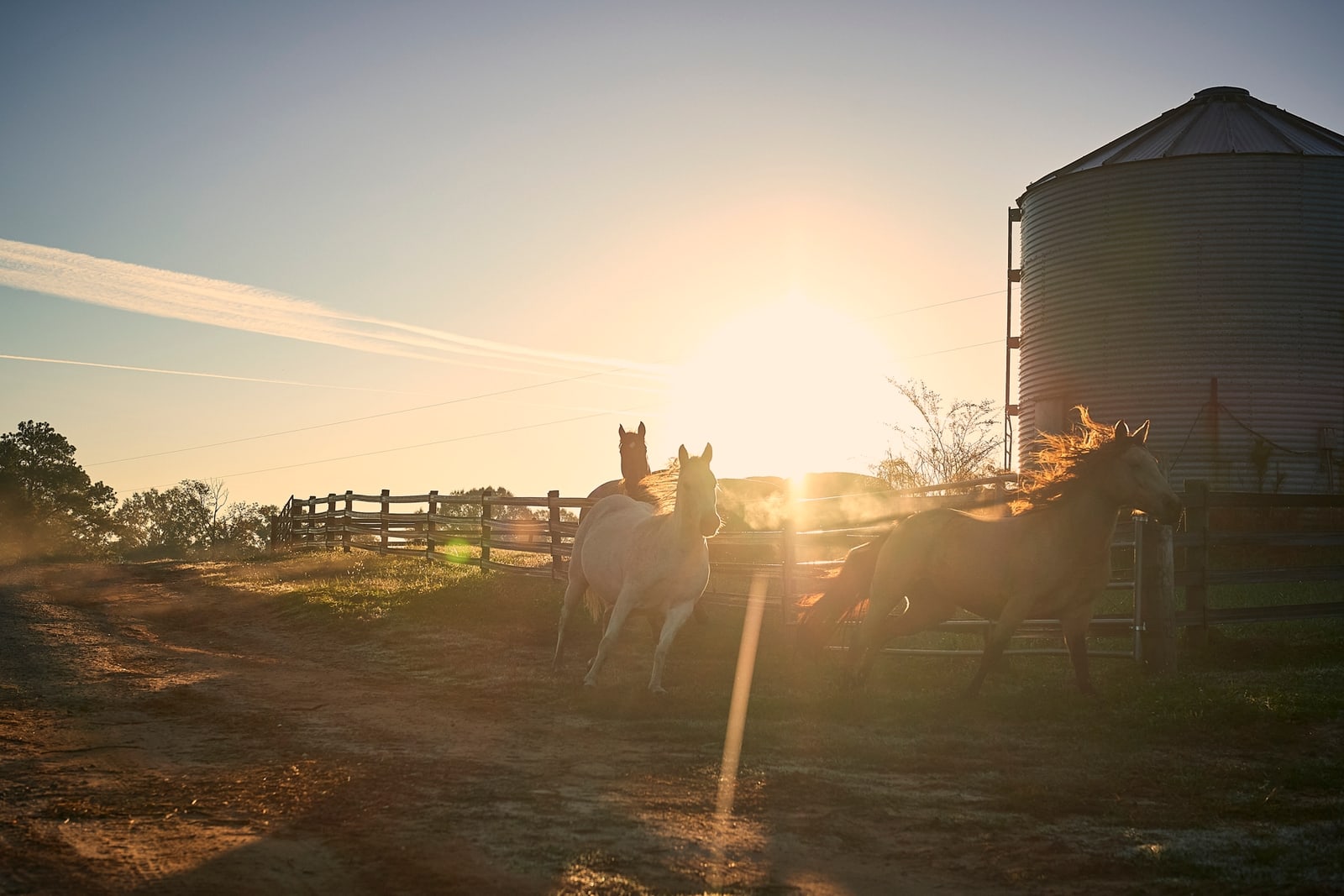 The World of Quercus | Luxury resort and guest ranch | Georgia
