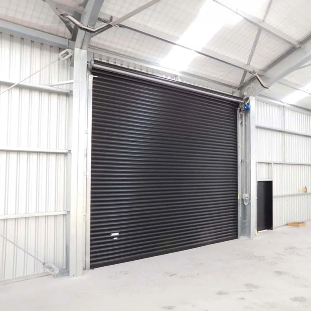 Mini Roolo Doors Rollo Garage Doors | Queenslands #1 Rated for Installs, Repair and ...