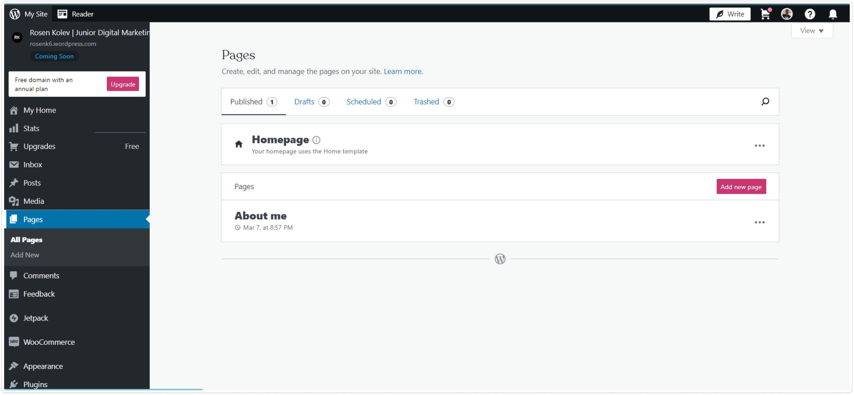 screenshot of wordpress dashboard