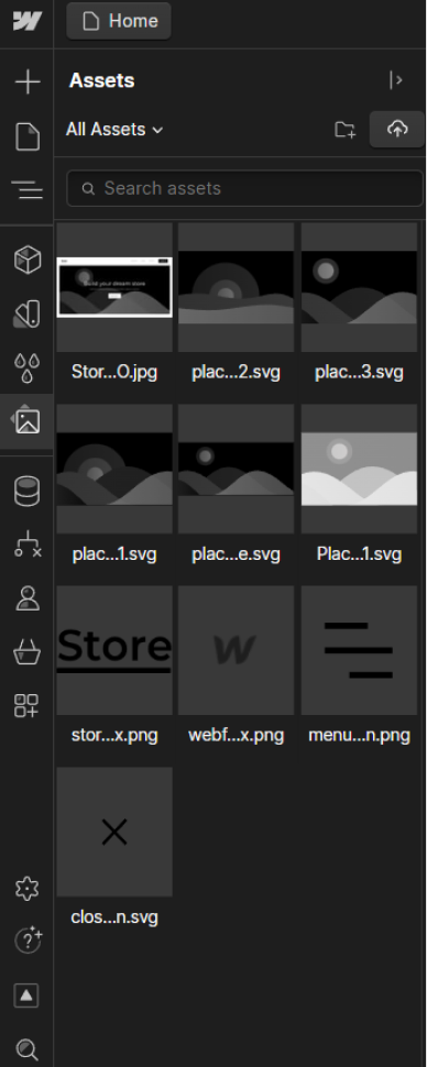 Webflow Assets