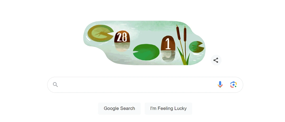 Google search screenshot