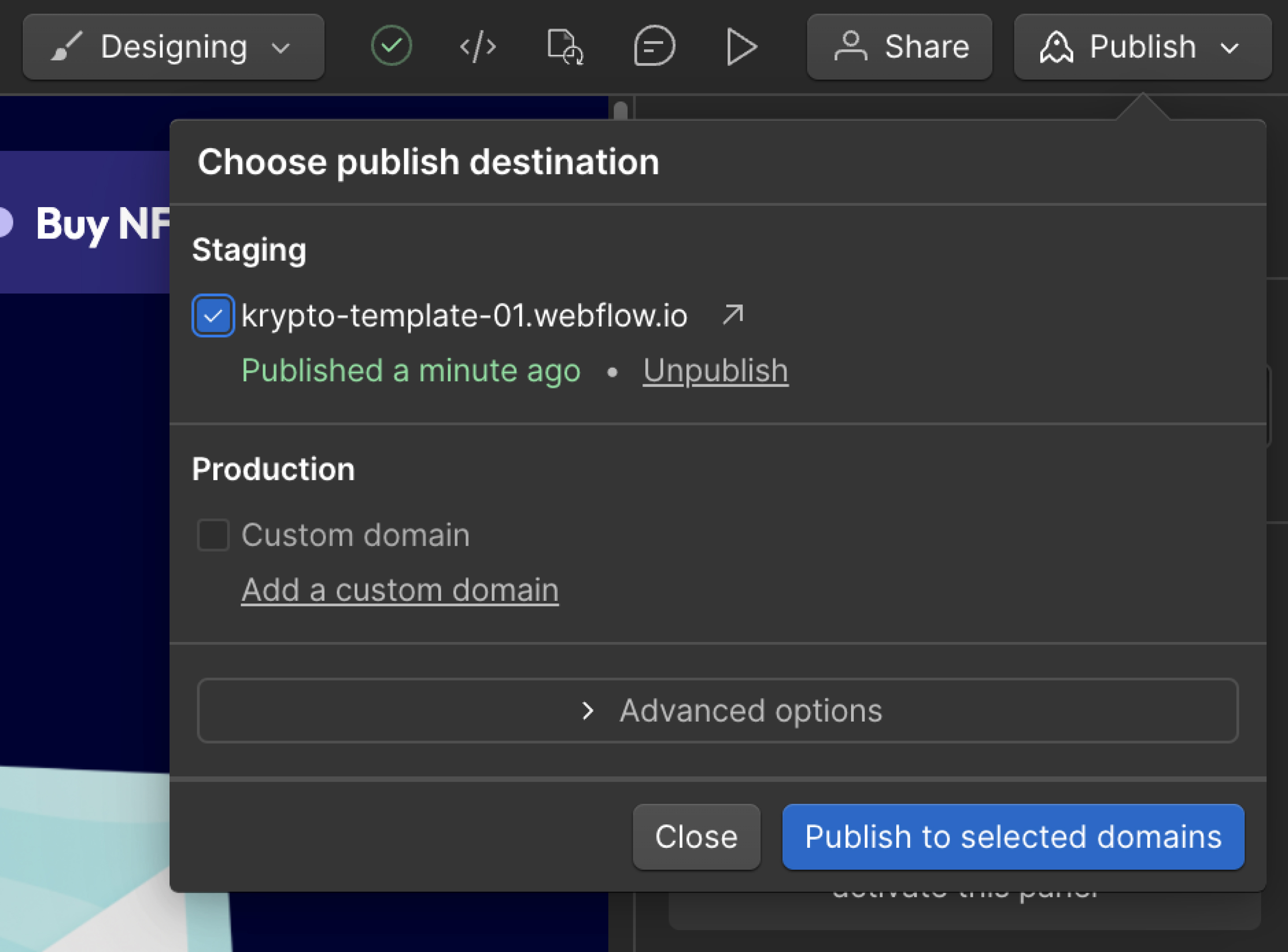 screenshot preview and publish vidzflow