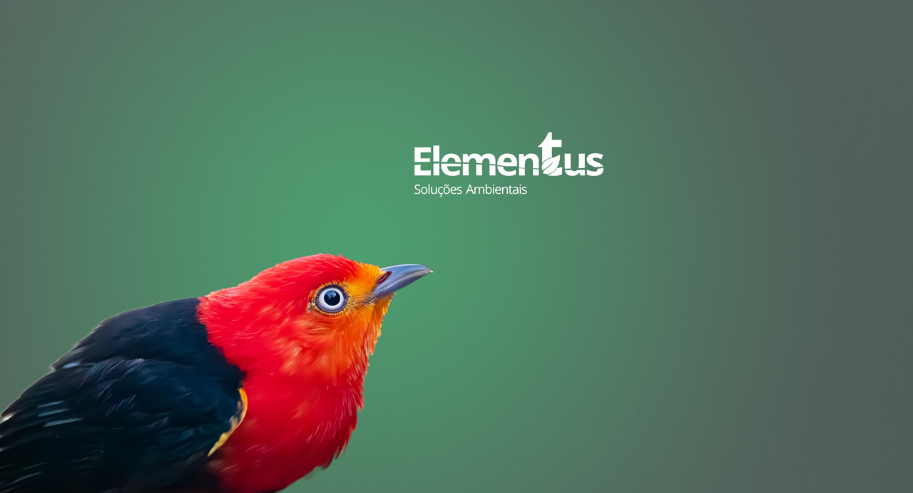 Elementus Unidade Sao Paulo