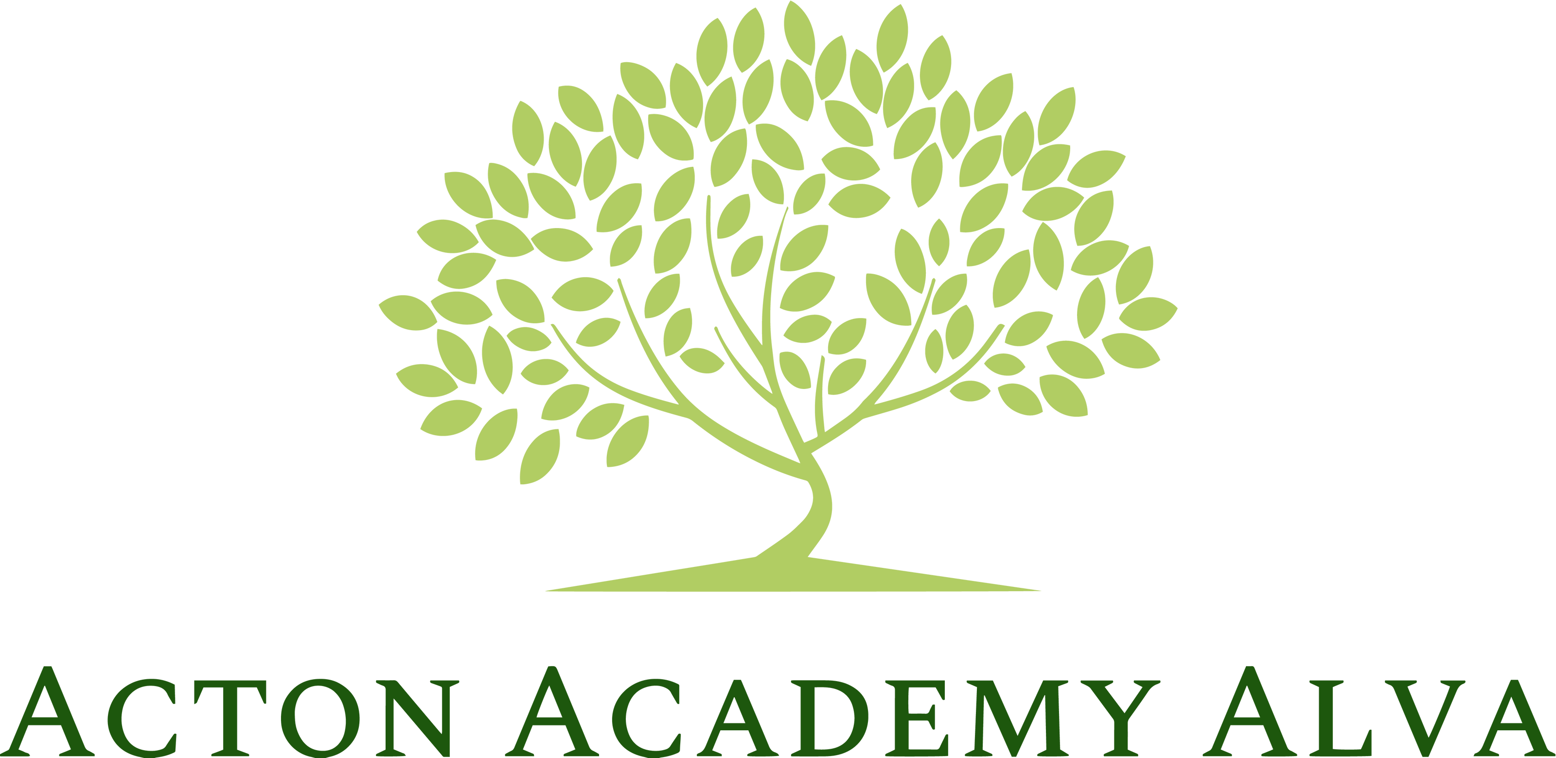 Acton Academy Alva