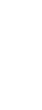 LIV Developers