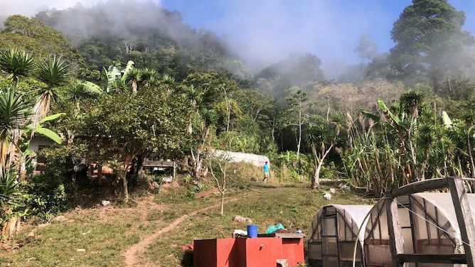 honduras_ethichub_finca