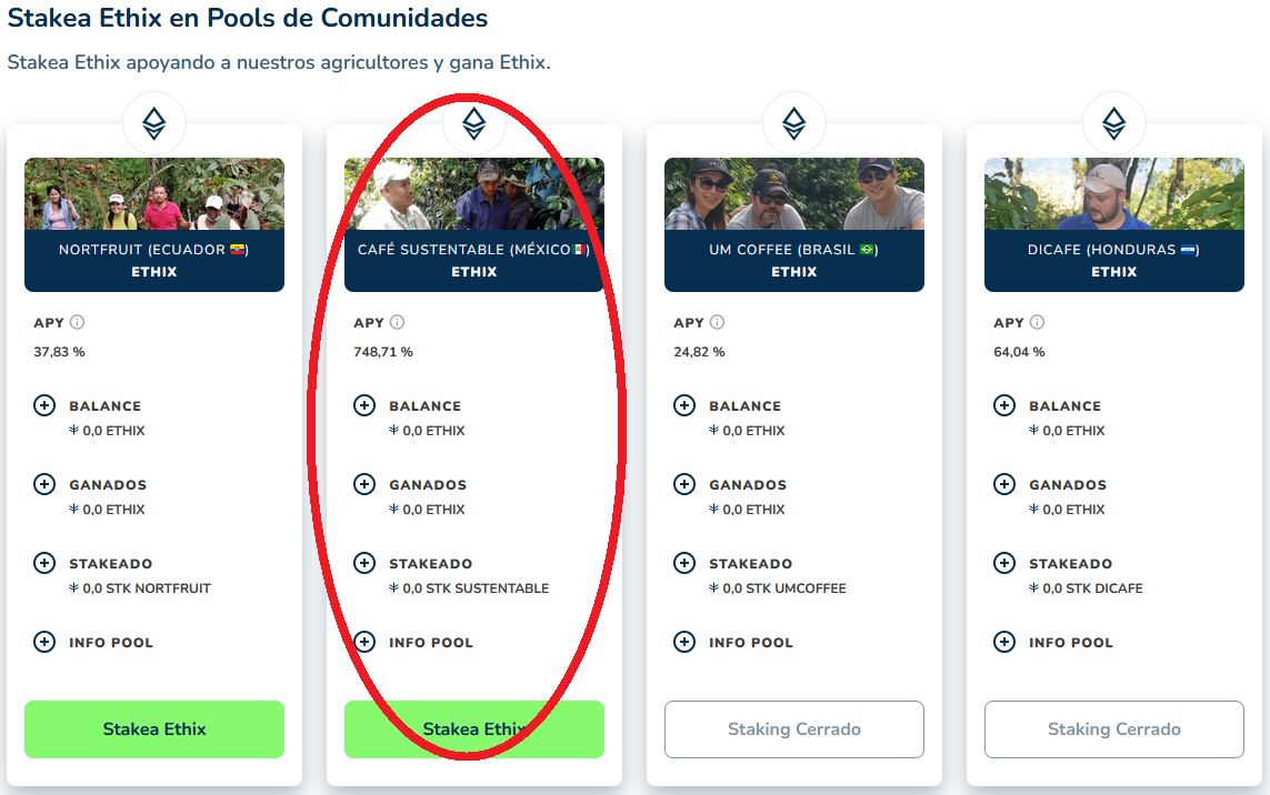 Pool Café Sustentable