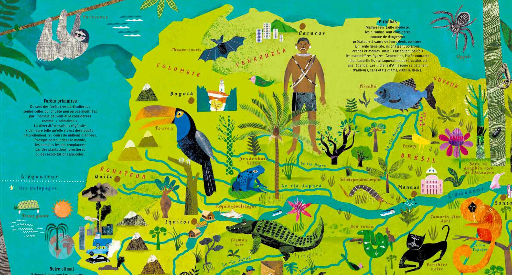 Les plus grands fleuves du monde