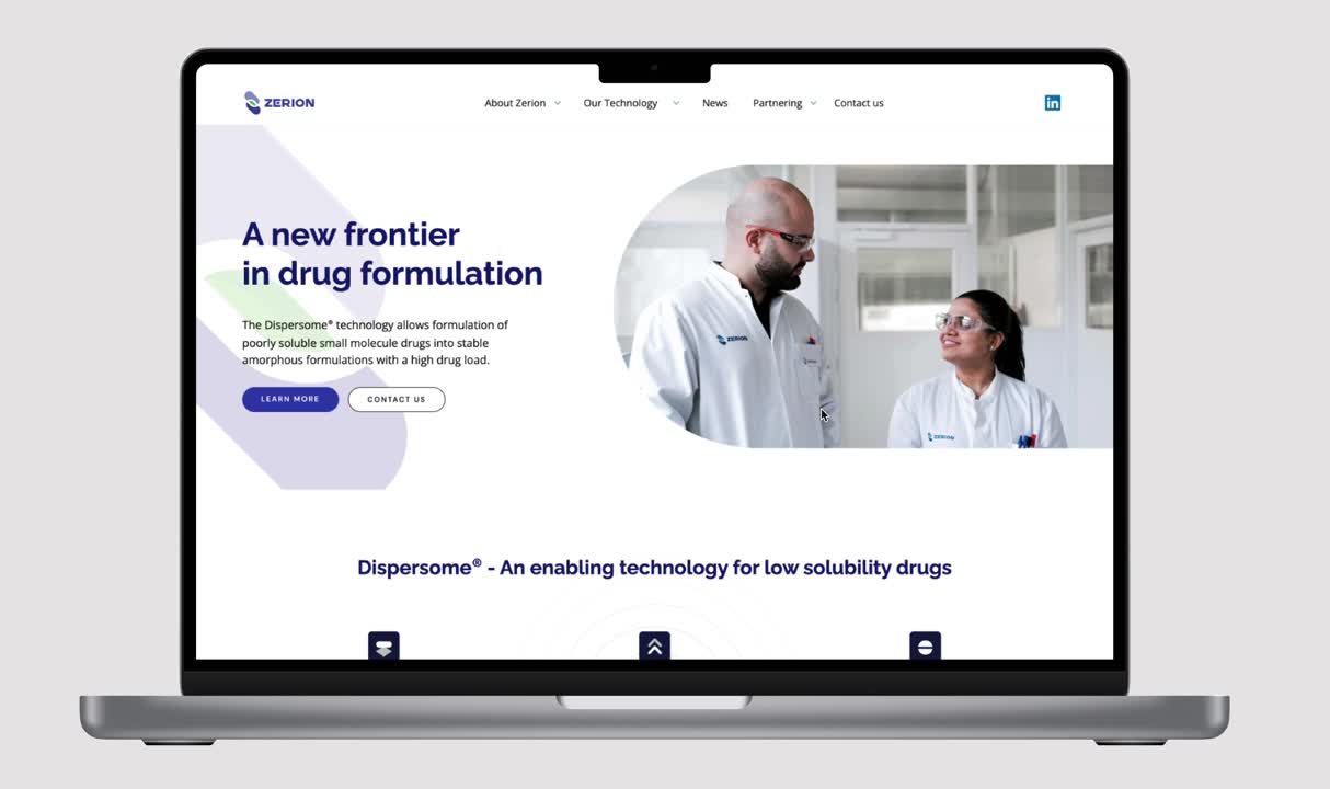 Ieva Jasiukenaite | Projects | Zerion