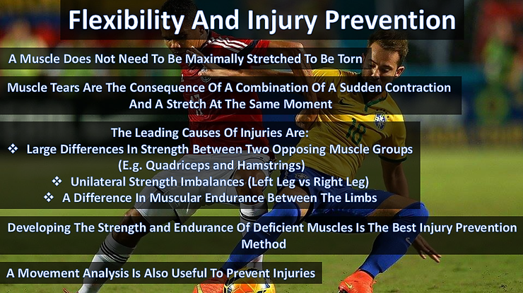Muscle Pliability Reduce Risk Flexibility and Injury Prevention
