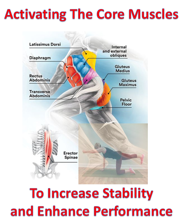 Activating The Core Muscles To Increase Stability and Enhance Performance