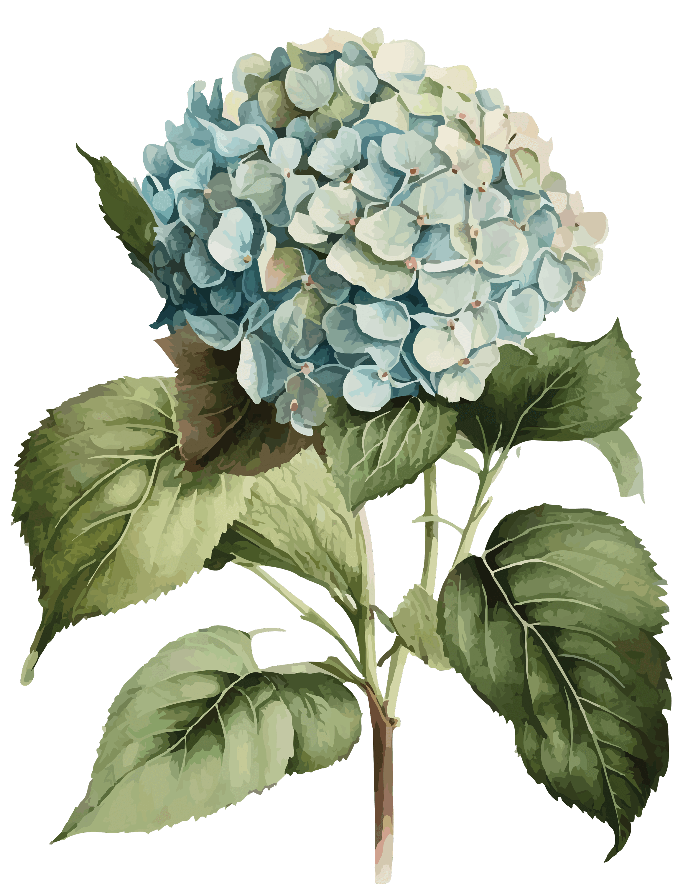 Grovemont Townhomes West Abbotsford