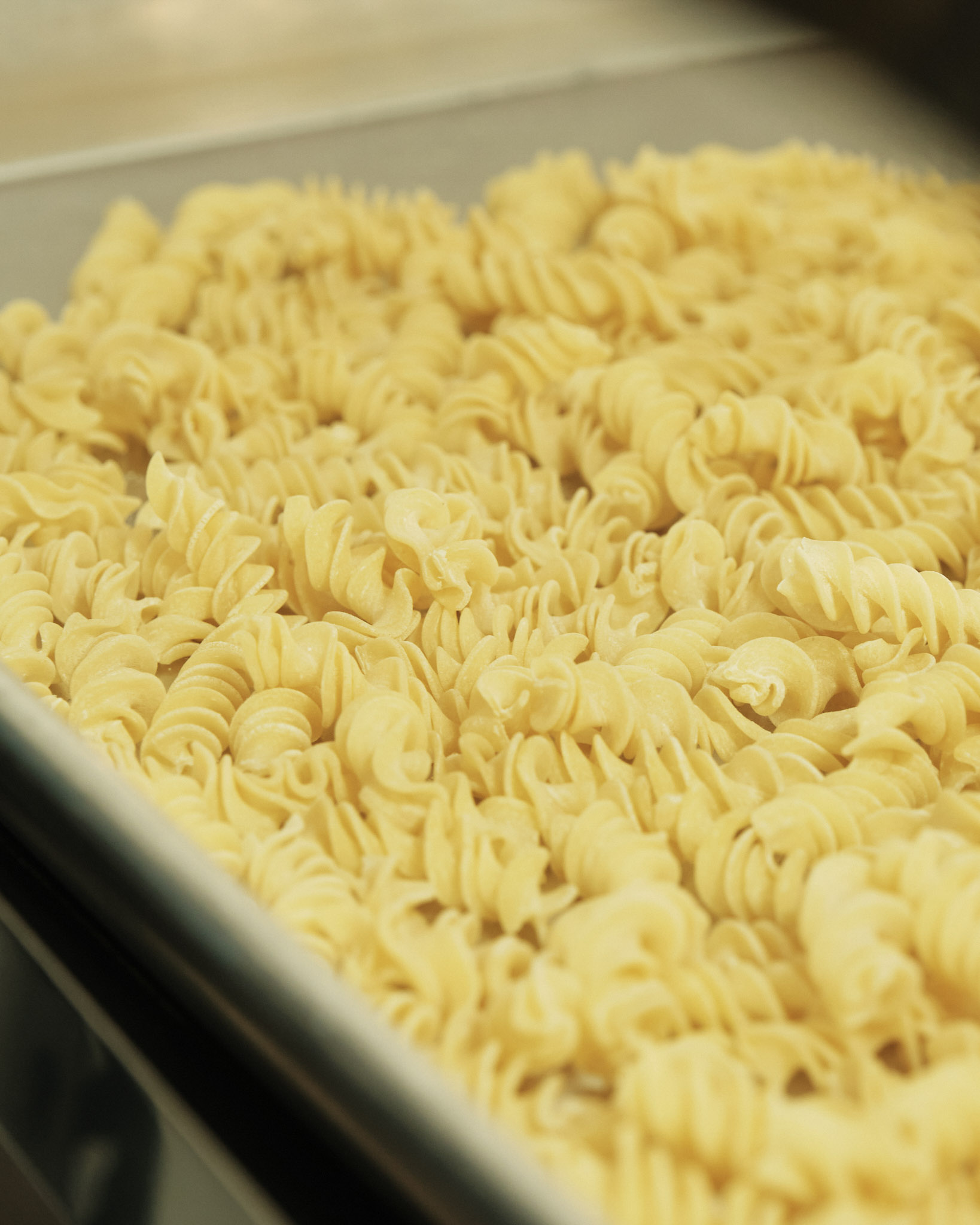 Noodle Lab Boston Noodle Lab Photography | Sproos Creatives