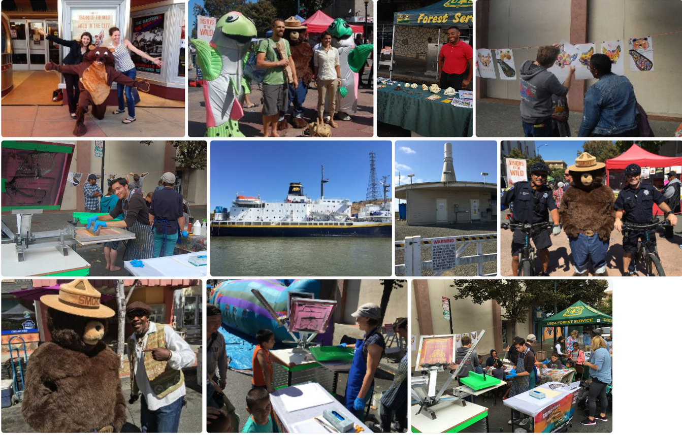 A collage of photos from past Visions of the Wild festivals