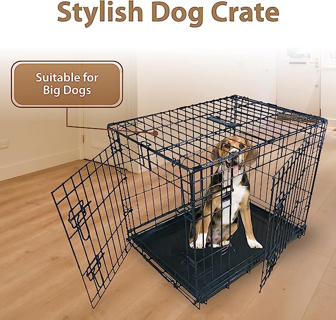 EllieBo Dog Crate Review WalkQuays Dog Services