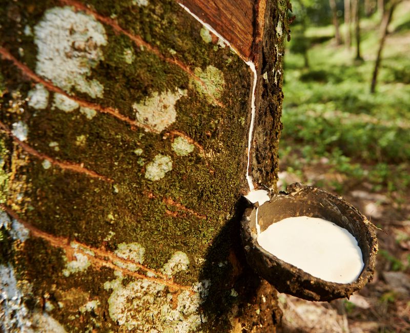 Natural vs. Synthetic Rubber Top Differences and Why You Should Go