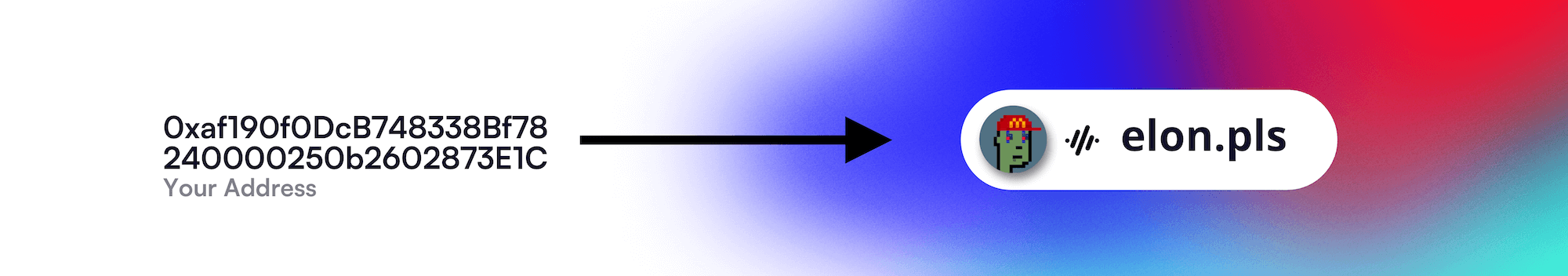 Example of a 0x Public Address being converted to PNS