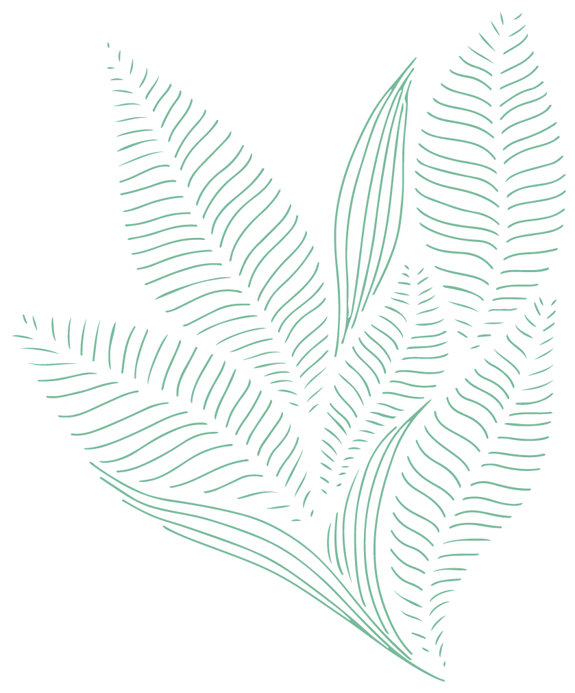 Mint City Villas Bremen Indiana Apartments in a Safe Community