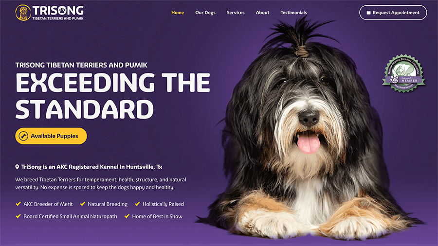 Trisong Tibetan Terriers Texas AKC Registered Kennel