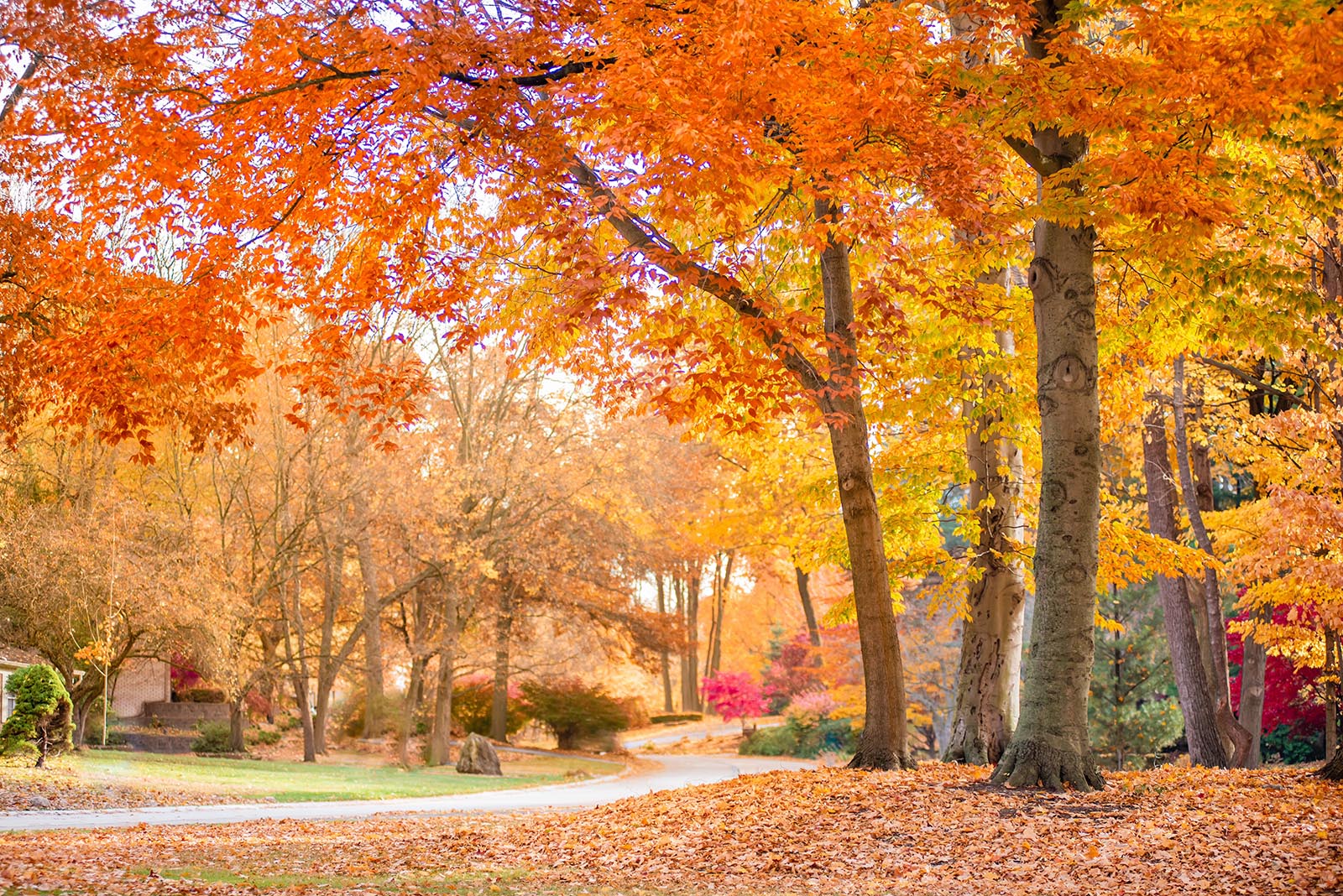 Meeting Minutes Meeting Minutes Meadowbrook Hills