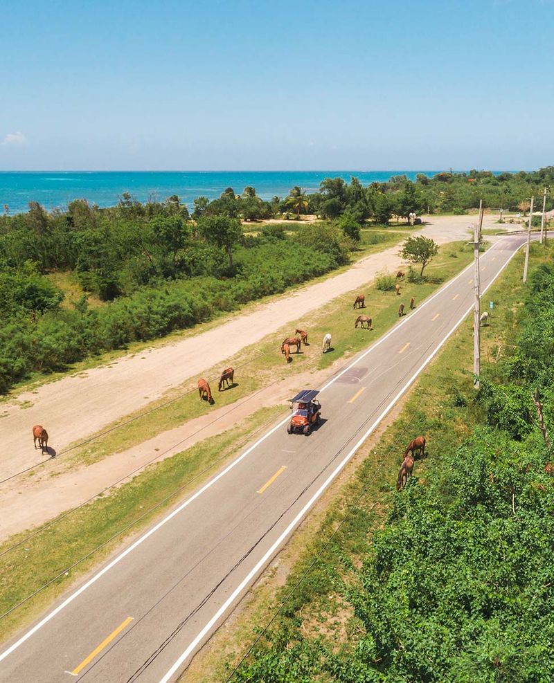 UTV Rental Puerto Rico Explore Paradise