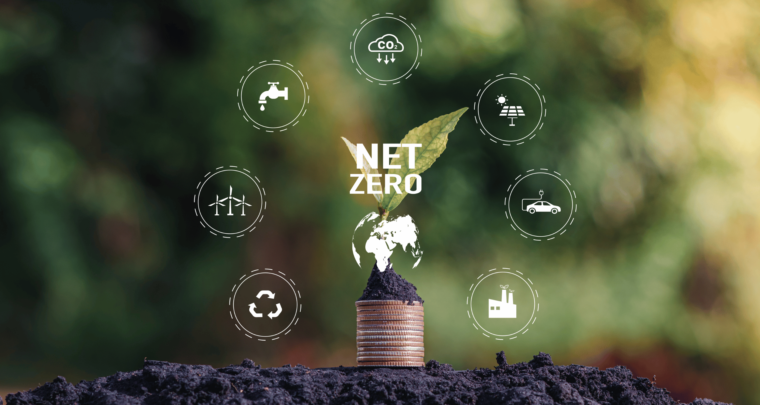 CarbonAnalytics blog post about Accelerating towards Net Zero with Carbon Management technologies